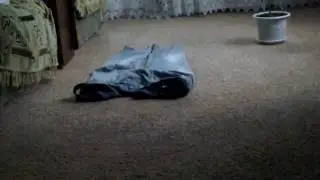 Человек Невидимка
