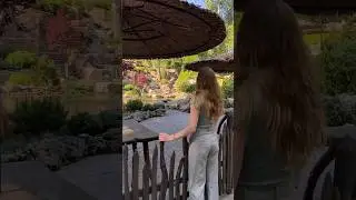 POV: хочется снять эстетичное видео 😁 #парклога #природа #юмор