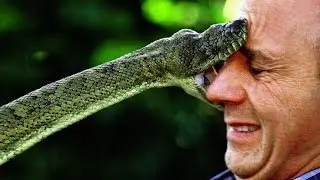 Epic Snake Prank!