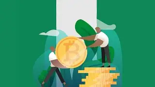 Senate of Nigeria discusses Bitcoin (February 11, 2021)