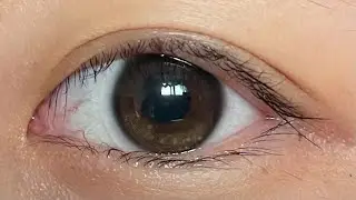 [아이돌렌즈] 유리알 세럼 브라운 보정 없는 솔직 리뷰 / [IDOLLENS] YURIAL SERUM BROWN COLOR CONTACT LENS REVIEW