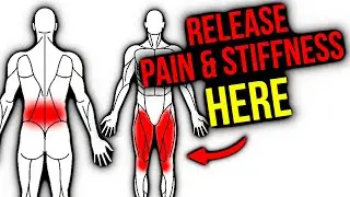 This forgotten nerve causes low back, hip & thigh pain! Learn how to fix this!