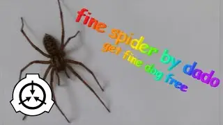 FILE LEAK 5185 - COMMERCIAL FOUND