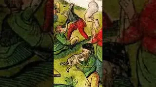 Marcopolo Sebut Indonesia Kanibal