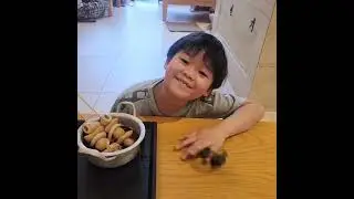 KOREA SAUNA AQUAFIELD