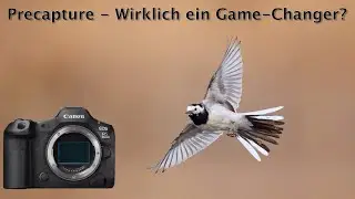Precapture - How important is it really (and when you should use it)