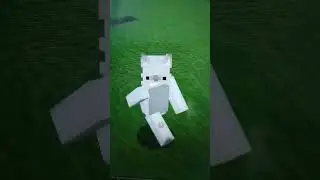 плачущий кот хочет компот
