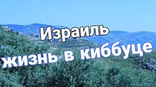 КИББУЦ МЕУХАД ТВЕРИЯ СЕВЕР ИЗРАИЛЯ.