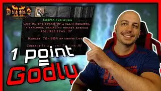 Just ONE POINT Makes These Skills GODLY, Every 1 Point Wonders - Diablo 2 Resurrected
