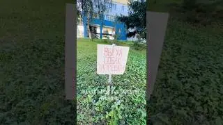 Dogs NOT allowed! But he can? He doesn't look like a dog! 🤣 How bears should poop properly! 