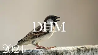 Музыка для души 🌿 Эту музыку можно слушать вечно 🌿 Лучшие композиции DEEP HOUSE 2024