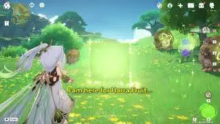 I am here for the Harra Fruit by Nahida in Genshin Impact