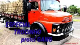 ESPECIAL TROCINHO PROTCL GANG 31AM