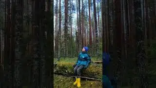 вот так ветерок )))