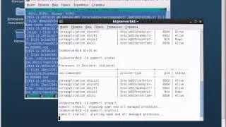 [Мирончик И.] Oracle BI 11: Администрирование BI repository [3-5]