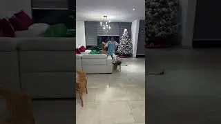Tu mamá cuando el perro se va a salir 😂 