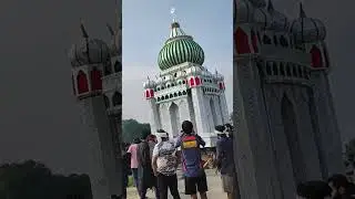 Aao chalen karbobala! famous khoobsurat Bhadari Taziya Prayagraj Allahabad 2024 Muharram #shorts
