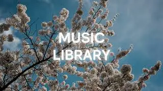 Waesto - Mirage (Music Library - NoCopyrightMusic)