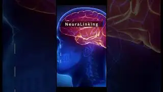 Neuralink: What is it and why is it so important?