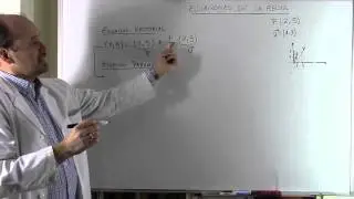 ECUACIONES DE LA RECTA. Forma Vectorial, Paramétrica, Contínua, General y Explícita.