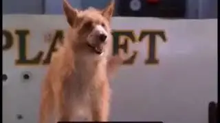 Demis Roussos-Folow Me-Tradus in Romănă