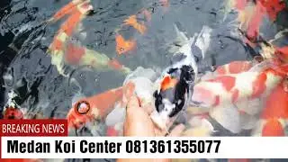 Medan Koi Center