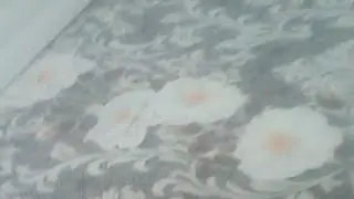 Марина Хомченко в прямом эфире