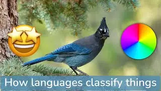 How languages categorize the world