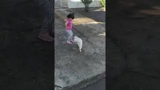 eu levei um susto kkkk