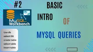 #2 Basic intro on simple queries in MySql workbench )