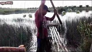 Solo Camping hujan Deras Pinggir Rawa Melimpah Ikan-Nya
