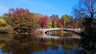 Autumn in Central Park | Relaxing Piano and Bird Sounds | 4K