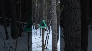 #Пенза
