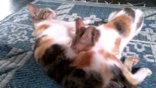 Nenen di siang bolong