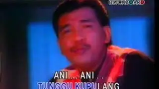 imam s.arifin - ani