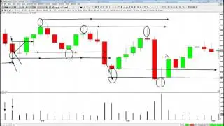 Professional Trading with Volume  A Must See Video!