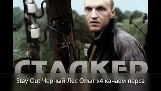 Stay Out/// Сталкер-Онлайн/// Черный Лес опыт Х4  Прокачка перса   RU-2  СПБ