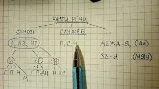 Части речи – что это такое, как их сгруппировать, чтобы легко запомнить