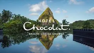 Roots To Wrapper - How Our Chocolate Is Made