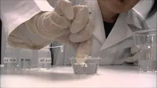 淌血的心—硫氰化鉀與鐵離子的反應