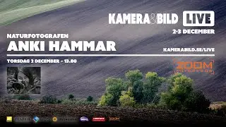 Anki Hammar | Zoom Fotoresor | Kamera & Bild LIVE 2021