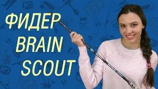 Фидер Brain Scout