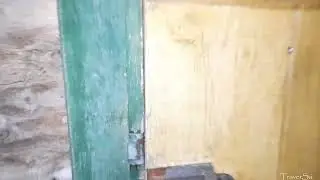 Йети В Лесу . Чепыш В Бане.