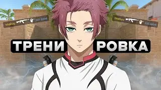 My 3500 ELO FACEIT training in CS 2
