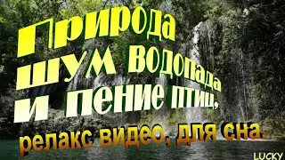 Природа шум водопада и пение птиц, релакс видео, для сна