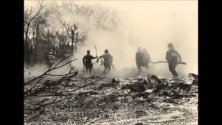 Fighting Forces of The Empire of Japan