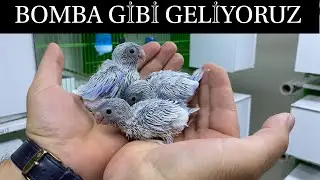 2022 YENİ SEZON HAYIRLI OLSUN