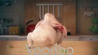 Pollito bailando