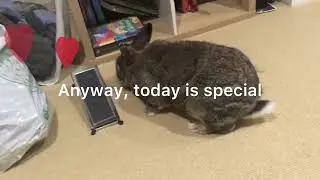 Big Bun’s birthday