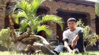 *Nuestra Historia* (2012) El Leche